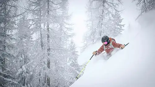 Guide exploring Niseko United mountain terrain with private lesson guests